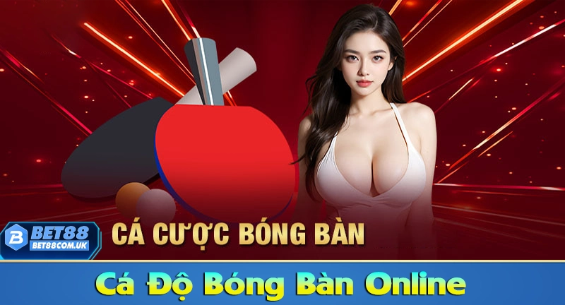Top 7 Chiến Thuật Cá Cược Bóng Bàn Giúp Bạn Tăng Tỷ Lệ Thắng 4 Cá cược bóng bàn online